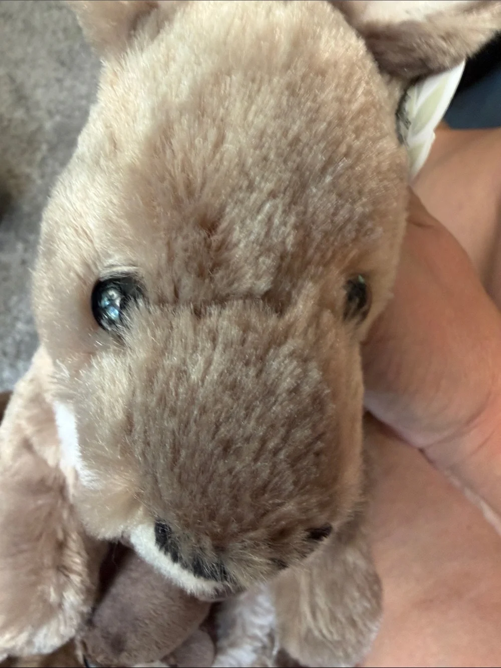 Wild Republic Kangaroo with baby- Brown
